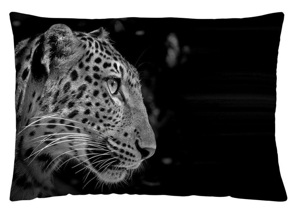 Leopardo fotoprint - 30 x 50 cm - Áčko